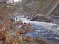 Knifes Edge Rapids Moose 10-17-2015_00026.JPG