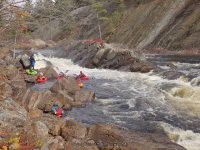 Knifes Edge Rapids Moose 10-17-2015_00033.JPG
