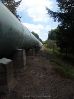 Taylorville Trail (2) 9-7-2015_00001.JPG