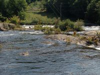 Taylorville Between Take Out and Powerline 9-7-2015_00010.JPG