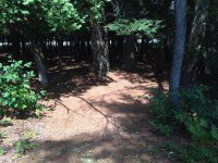Taylorville Picnic Area 9-7-2015_00001.JPG