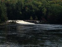 Taylorville Picnic Area 9-7-2015_00004.JPG