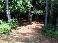 Taylorville Picnic Area 9-7-2015_00005.JPG