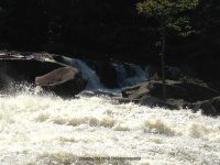 Taylorville Great White Slide 9-7-2015_00007.JPG