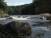 Taylorville Powerline Rapids Beaver 9-7-2015_00014.JPG