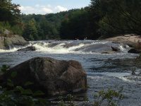 Taylorville Powerline Rapids Beaver 9-7-2015_00015.JPG