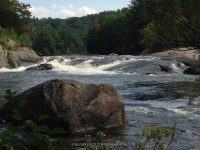 Taylorville Powerline Rapids Beaver 9-7-2015_00018.JPG