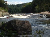 Taylorville Powerline Rapids Beaver 9-7-2015_00024.JPG