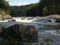 Taylorville Powerline Rapids Beaver 9-7-2015_00025.JPG