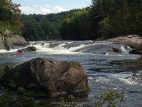 Taylorville Powerline Rapids Beaver 9-7-2015_00028.JPG
