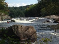 Taylorville Powerline Rapids Beaver 9-7-2015_00030.JPG