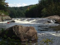 Taylorville Powerline Rapids Beaver 9-7-2015_00033.JPG