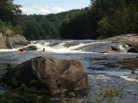 Taylorville Powerline Rapids Beaver 9-7-2015_00035.JPG