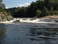 Taylorville Powerline Rapids Beaver 9-7-2015_00037.JPG