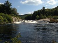 Taylorville Powerline Rapids Beaver 9-7-2015_00038.JPG