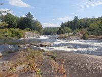 Taylorville Powerline Rapids Beaver 9-7-2015_00040.JPG