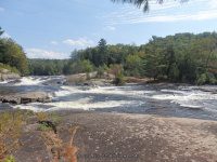 Taylorville Powerline Rapids Beaver 9-7-2015_00041.JPG