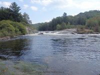 Taylorville Powerline Rapids Beaver 9-7-2015_00050.JPG