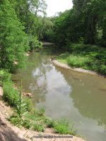 Duross Conservancy Oneida Creek Small Falls on 7-7-2012_00006.JPG