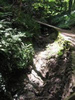 Hamilton College Root Glen 7-8-2012_00017.JPG