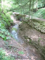 Hamilton College Root Glen 7-8-2012_00016.JPG