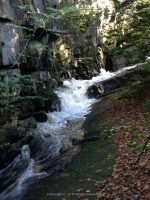 Lewis Eagle Section Beaver River falls on 1 9-20-2015_00014.JPG
