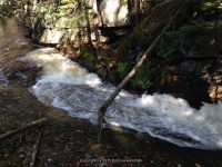 Lewis Eagle Section Beaver River falls on 1 9-20-2015_00017.JPG