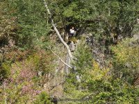 Eagle Falls 9-20-2015_00017.JPG