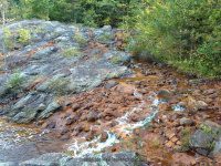 Scenic Overlook Area Eagle Section 9-20-2015_00005.JPG