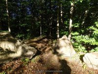 Scenic Overlook Area Eagle Section 9-20-2015_00006.JPG