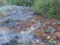 Scenic Overlook Area Eagle Section 9-20-2015_00008.JPG