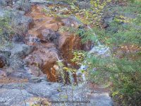Scenic Overlook Area Eagle Section 9-20-2015_00011.JPG
