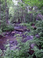 Bagley Rapids Oconto County WI 7-2-2007_00002.jpg