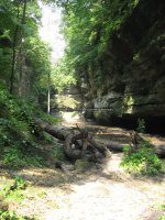 Matthiessen SP Lower Dells Area 9-3-2011_00016.JPG