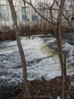 NORTH CHUCTANUNDA FALLS MONTGOMERY COUNTY EASTERN NEW YORK 1-14-2013_00006.JPG