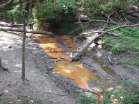 Starved Rock SP 3 French Canyon_00003.JPG