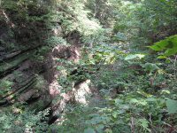 Starved Rock SP 3 French Canyon_00007.JPG