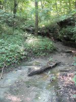Starved Rock SP 1 Aurora Canyon_00007.JPG