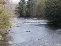 Fish Creek 5-9-2007 Palmer Rd_00008.JPG