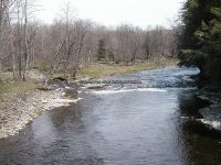 Florence Creek 5-9-2007 Cole Hill Rd_00013.JPG