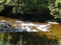 MAD RIVER ONEIDA COUNTY CENTRAL NEW YORK 9-1-2014_00006.JPG