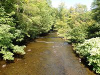 MAD RIVER ONEIDA COUNTY CENTRAL NEW YORK 9-1-2014_00008.JPG