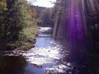 MAD RIVER ONEIDA COUNTY CENTRAL NEW YORK 9-29-2007_00007.JPG