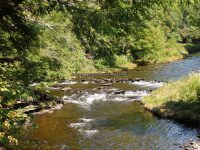 MAD RIVER ONEIDA COUNTY CENTRAL NEW YORK 9-1-2014_00001.JPG