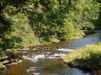 MAD RIVER ONEIDA COUNTY CENTRAL NEW YORK 9-1-2014_00003.JPG