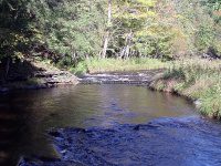 MAD RIVER ONEIDA COUNTY CENTRAL NEW YORK 9-29-2007_00002.JPG