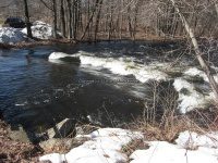 CAMDEN FOREST PARK ONEIDA CENTRAL NY 3-31-2009_00004.JPG