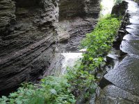 Minihaha Falls Watkins Glen Schuyler Central NY 8-10-2013_00001.JPG