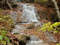 8-BARBARA SMIT YOUNG ARBORETUM 10-2-2014_00004.JPG