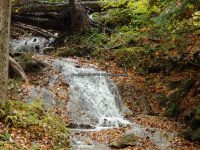 8-BARBARA SMIT YOUNG ARBORETUM 10-2-2014_00005.JPG